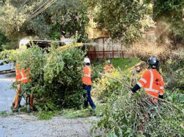 Highway 9 vegetation control work continues with daytime traffic control