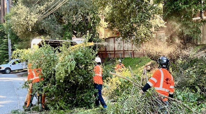 Highway 9 vegetation control work continues with daytime traffic control