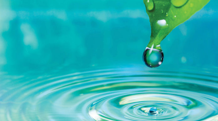 Santa Margarita Groundwater Agency seeks well owner alternate for board Water
