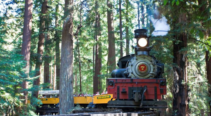 Local tourism reaches more than $1.4B in Santa Cruz County region