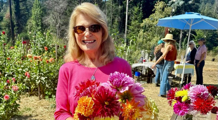 The Mountain Gardener | 1,000 Columns and Still Growing Strong