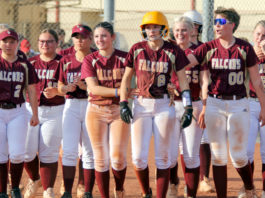 Falcons stay ahead of pack in quest for SCCAL crown | High school softball