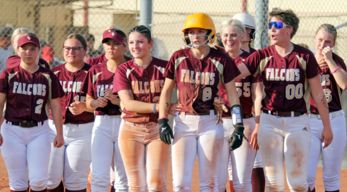 Falcons stay ahead of pack in quest for SCCAL crown | High school softball