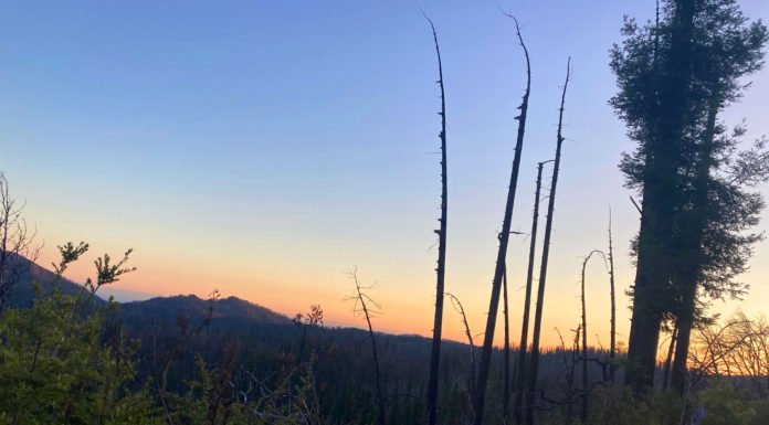 California State Parks reveals fire recovery plans for Big Basin
