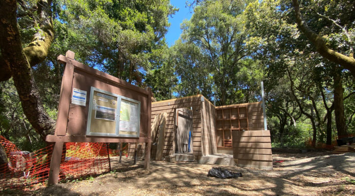 Supply chain challenges delay Henry Cowell Redwoods State Park campground reopening until 2026