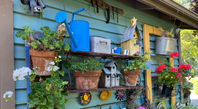 The Mountain Gardener | A Day in an Enchanted Garden
