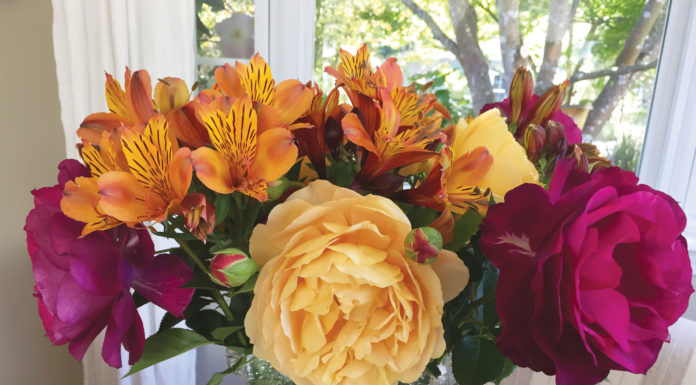 The Mountain Gardener | Grow Flowers for Year-Round Bouquets