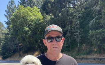 owner with dog