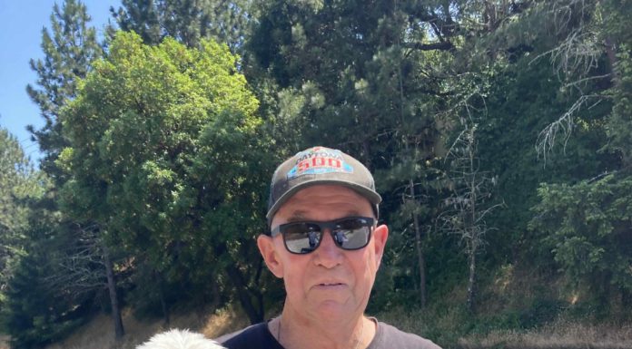 Wildfire between Felton and Scotts Valley quelled owner with dog