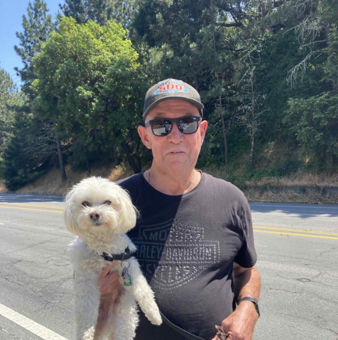 owner with dog