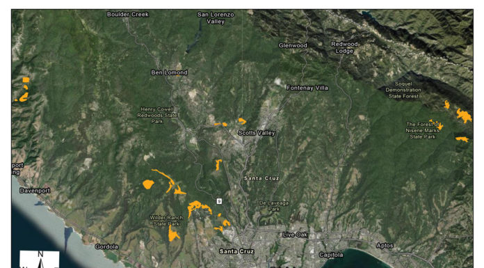$7M boost ignites forest resilience in Santa Cruz Mountains