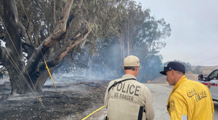 Weekend fires quelled before they could hurt structures and cows nearby Wildfire Davenport