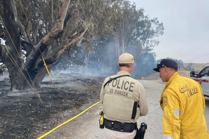 Wildfire Davenport