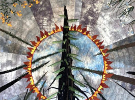 Residents mark 5 years since CZU Fire with art and reflection Felton art quilt