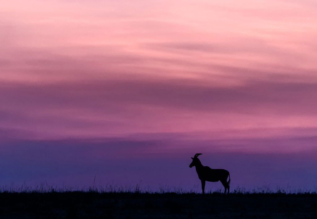 Mark Overgaard photo Africa