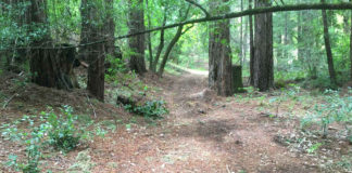 Ceremony set for Miller Property County Park welcome area Miller Property County Park