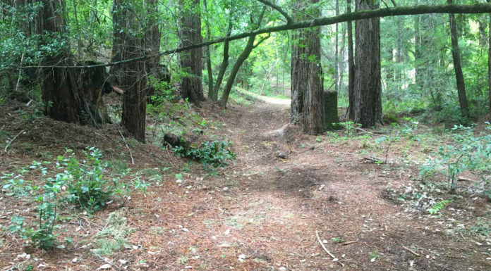 Ceremony set for Miller Property County Park welcome area Miller Property County Park