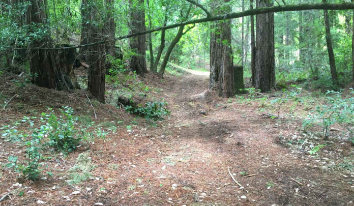 Miller Property County Park