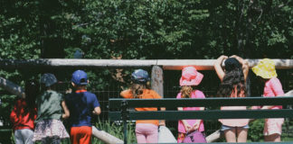 Free field trip to local parks application window opens