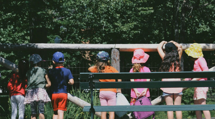 Free field trip to local parks application window opens Park field trip children