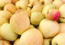 Apple-A-Day celebration returns Sept. 9 at Felton Farmers’ Market Apples