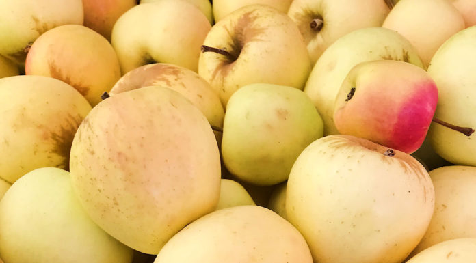 Apple-A-Day celebration returns Sept. 9 at Felton Farmers’ Market Apples