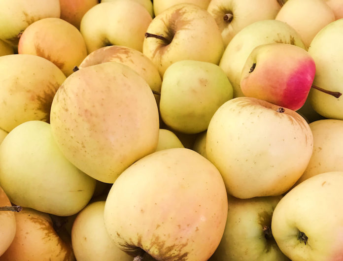 Apples