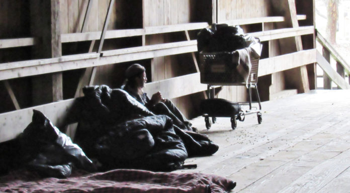 Homeless Point-in-Time Count shows continued progress in Santa Cruz County Homeless person Felton