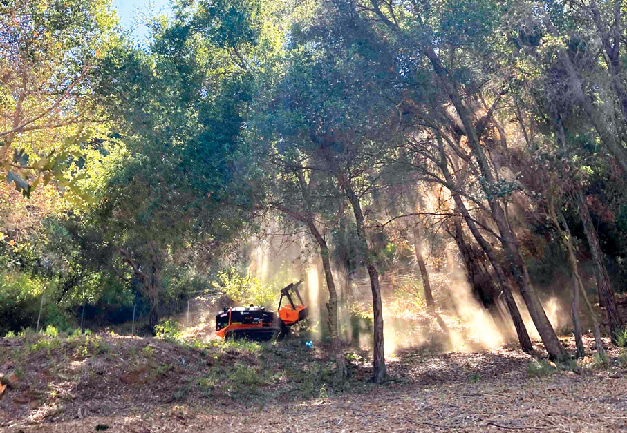 BurnBot Vegetation Masticator