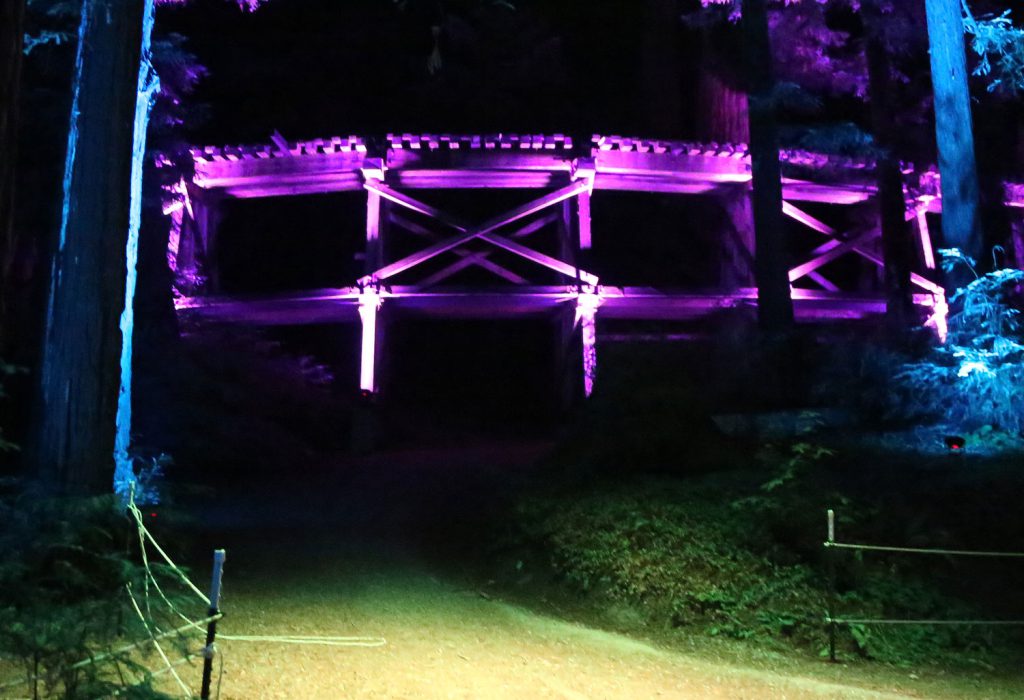 Roaring Camp Sequoias at Night