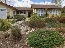 The Mountain Gardener | Sheet Mulch Away That Old Lawn Effectively Garden sheet mulching