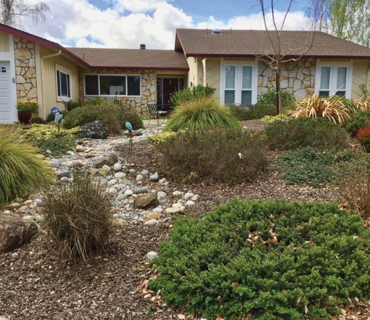 The Mountain Gardener | Sheet Mulch Away That Old Lawn Effectively Garden sheet mulching