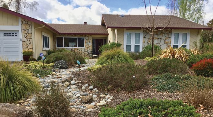 The Mountain Gardener | Sheet Mulch Away That Old Lawn Effectively Garden sheet mulching