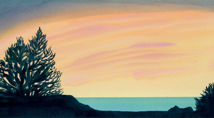 Santa Cruz artist highlights nature-inspired works in Ben Lomond Bela Ravikumar watercolor