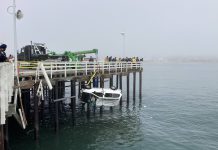 Santa Cruz Wharf incident: 1 person dead, dog sent for emergency care lifting a van from the ocean
