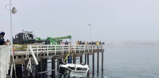 Santa Cruz Wharf incident: 1 person dead, dog sent for emergency care lifting a van from the ocean