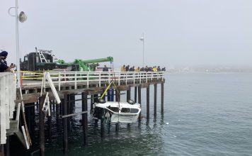 Santa Cruz Wharf incident: 1 person dead, dog sent for emergency care lifting a van from the ocean