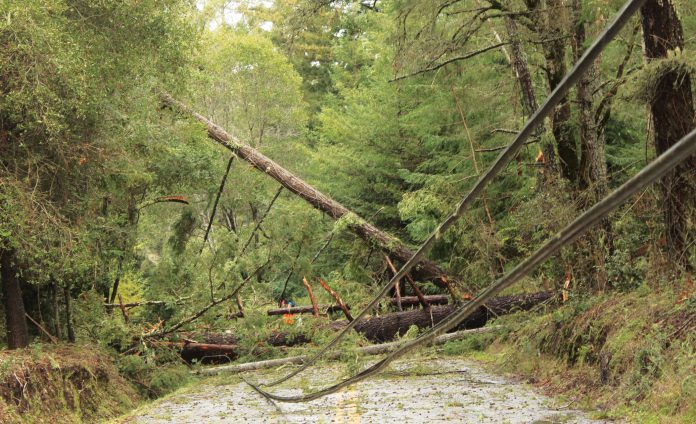 Smith-Grade-blockage2-copy Winter storms damage trees fallen