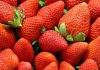 Santa Cruz County’s 2024 Crop Report shows jump in local crop values Strawberries