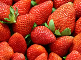 Santa Cruz County’s 2024 Crop Report shows jump in local crop values Strawberries