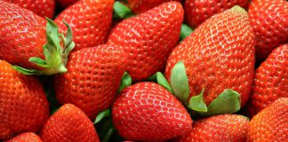 Santa Cruz County’s 2024 Crop Report shows jump in local crop values Strawberries