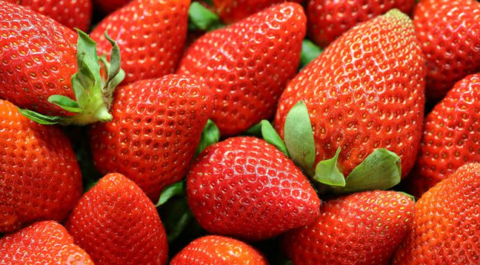 Santa Cruz County’s 2024 Crop Report shows jump in local crop values Strawberries