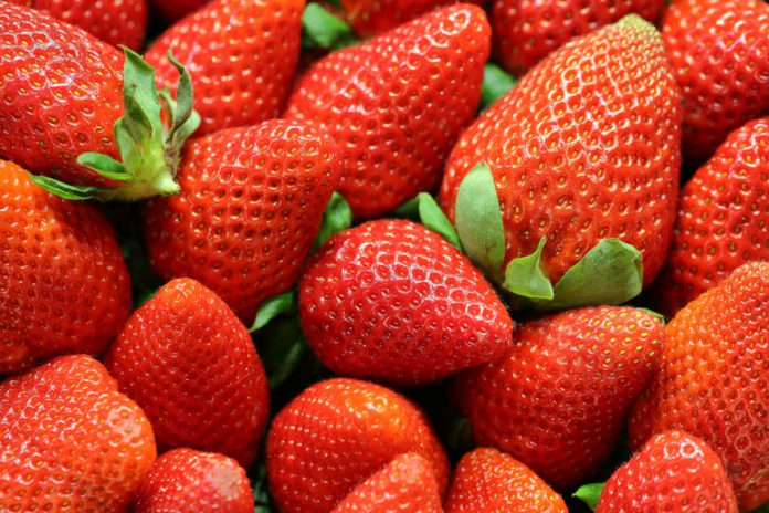 Strawberries-maksim-shutov-IXOjM_g-XBQ-unsplash Strawberries