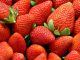 Santa Cruz County’s 2024 Crop Report shows jump in local crop values Strawberries