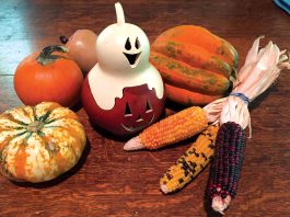 The Mountain Gardener | Halloween Fun in the Garden This Season Halloween decor