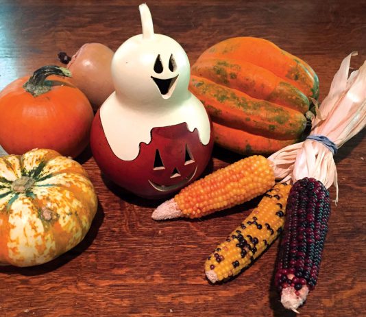 The Mountain Gardener | Halloween Fun in the Garden This Season Halloween decor