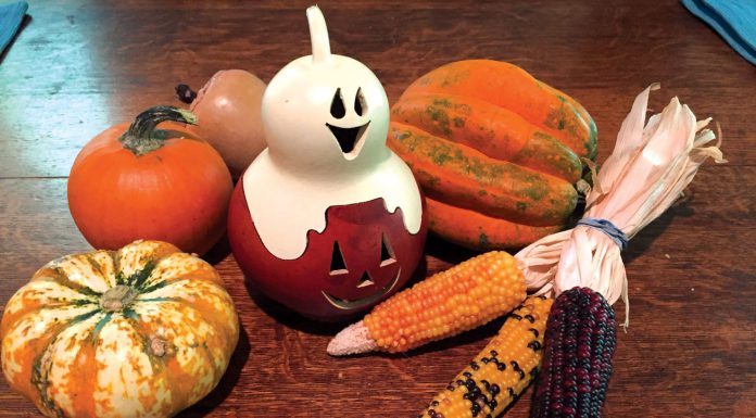 The Mountain Gardener | Halloween Fun in the Garden This Season Halloween decor