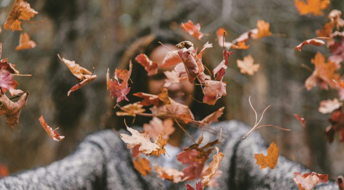 TherapyWorks | 7 Healthy Fall Habits to Benefit Your Mental Health Fall leaves