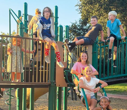 Skypark neighborhood children on playground