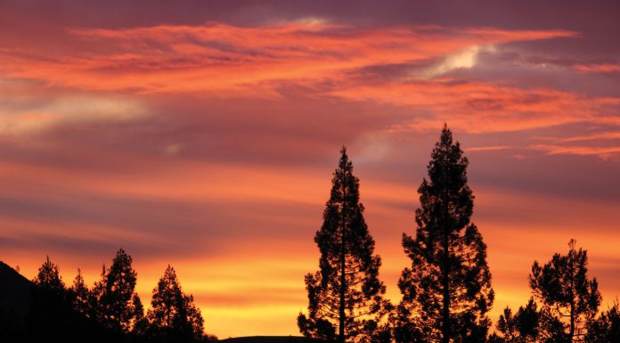 The Mountain Gardener | A Poem of Thanksgiving Sunset